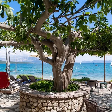 Club - 3 Νικιάνα